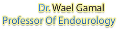 Dr Wael Gamal
