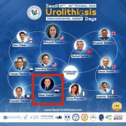 2e92c31b-3f4a-4def-b983-cc99585538ff